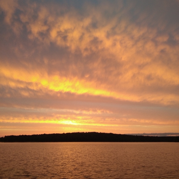 VINTAGE Manicure, Sewing & Grooming Travel Kit Leather Case WEST GERMANY 🇩🇪 - Picture 11 of 15